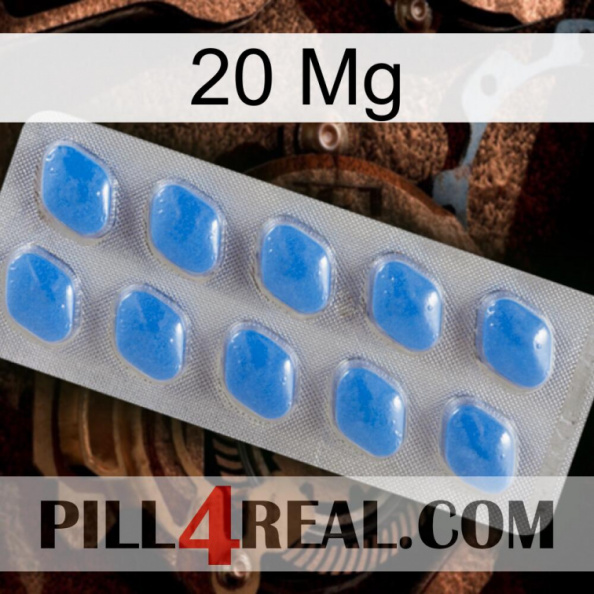 20 Mg 22.jpg